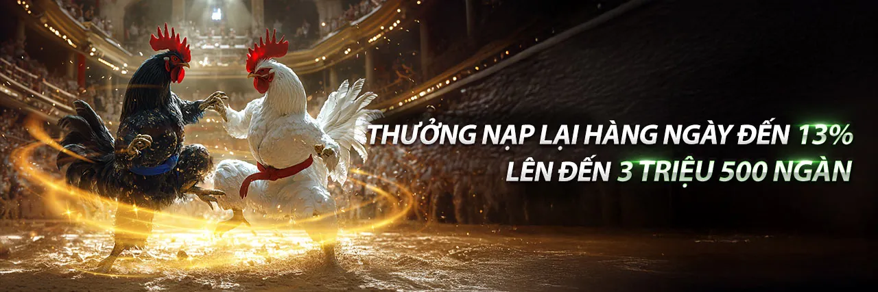 Đá gà trực tuyến kịch tính tại bom88